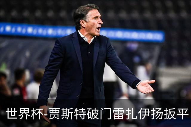 世界杯-贾斯特破门雷扎伊扬扳平 半场伊朗1-1新西兰