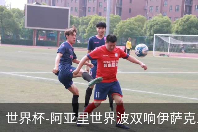 世界杯-阿亚里世界波双响伊萨克1射2传 瑞典5-1突尼斯